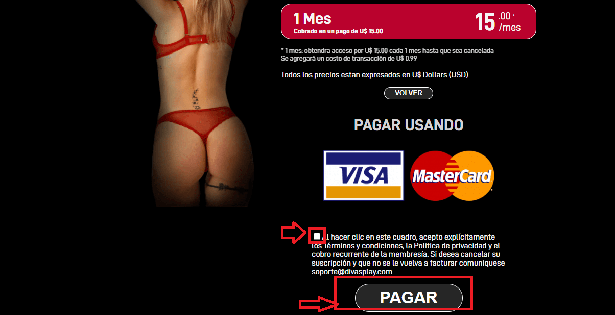 Inicia el pago