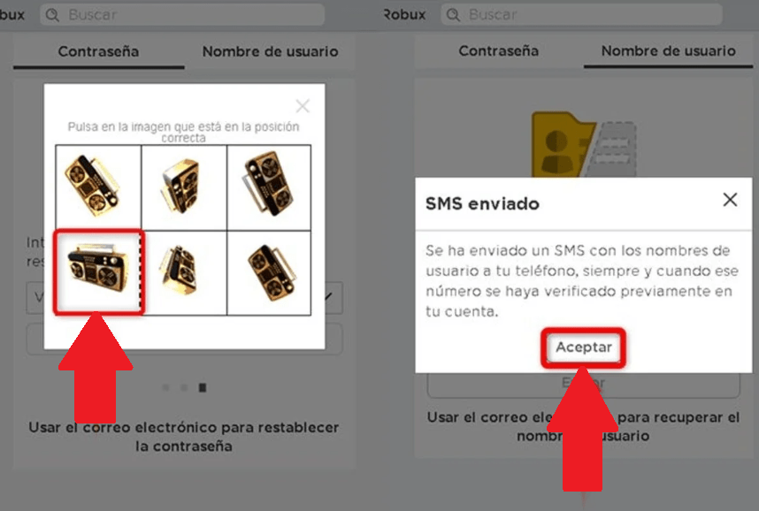 Ingresa número telefónico