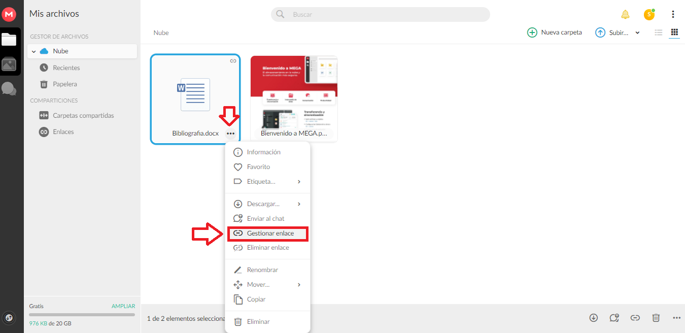 Obtén el enlace de tu archivo para transferirlo