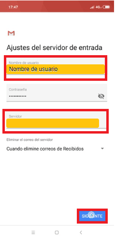 Coloca los ajustes del servidor de entrada solicitados