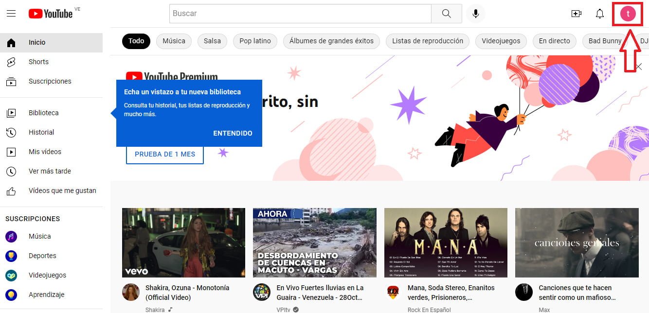 Ingresa a YouTube