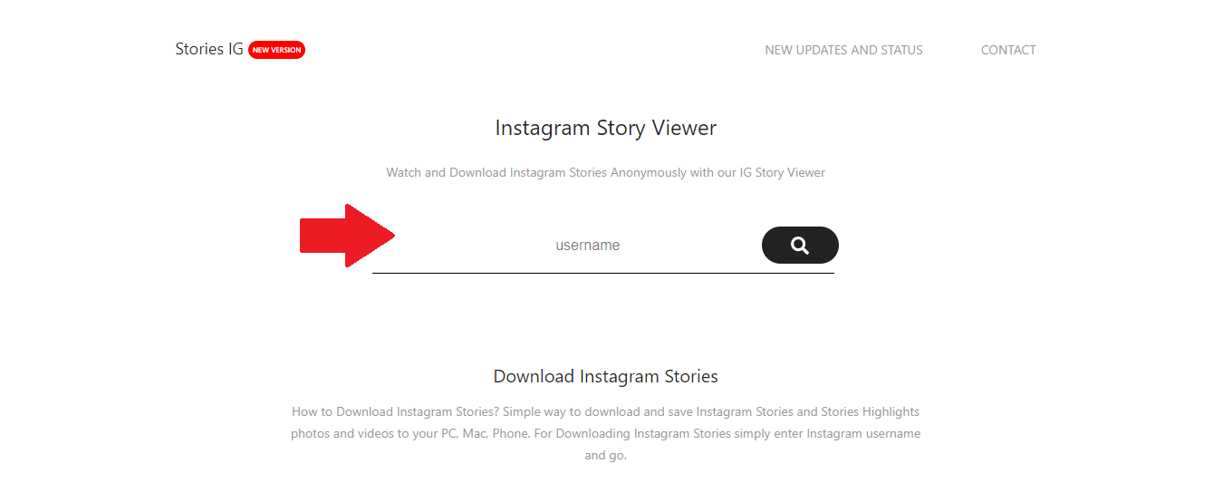 Introduce el nombre de usuario del perfil de Instagram