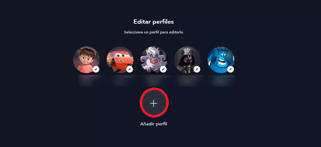Oprime sobre la opción “Añadir perfil” 