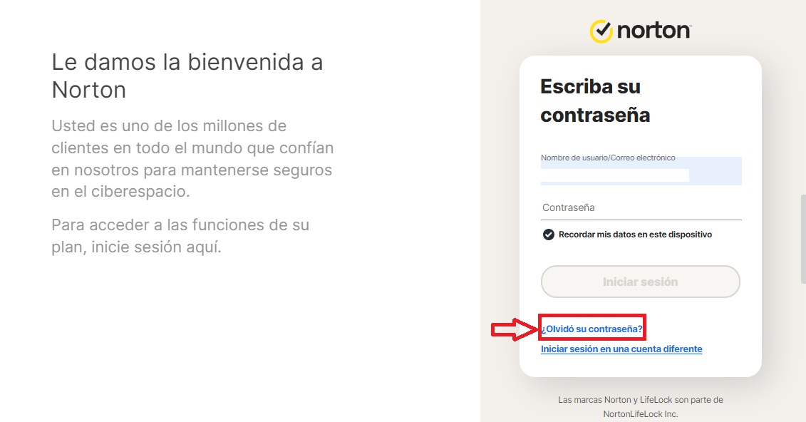 Selecciona ¿Olvidó su contraseña?