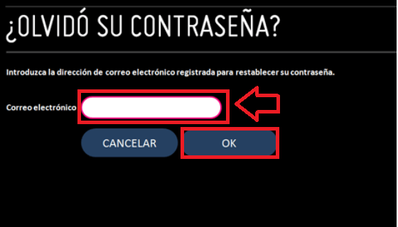 Escribe la dirección de email vinculada 