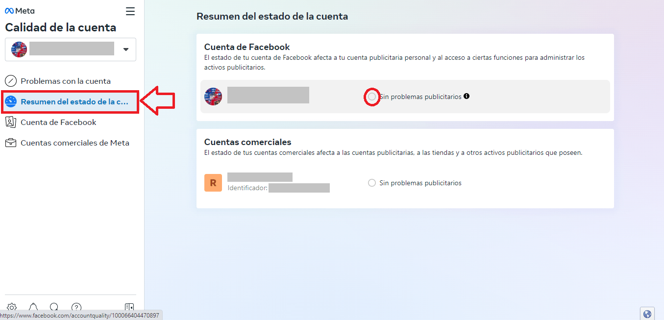 Elige la opción de Resumen del estado de la cuenta