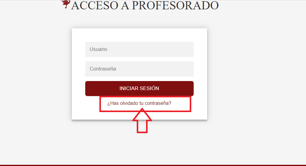 Selecciona olvido de contraseña