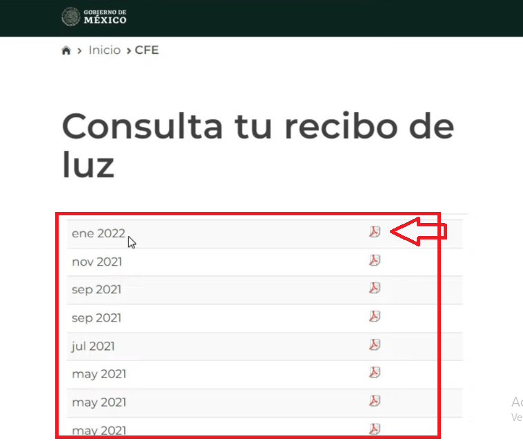 Consulta tus recibos Consulta tus recibos