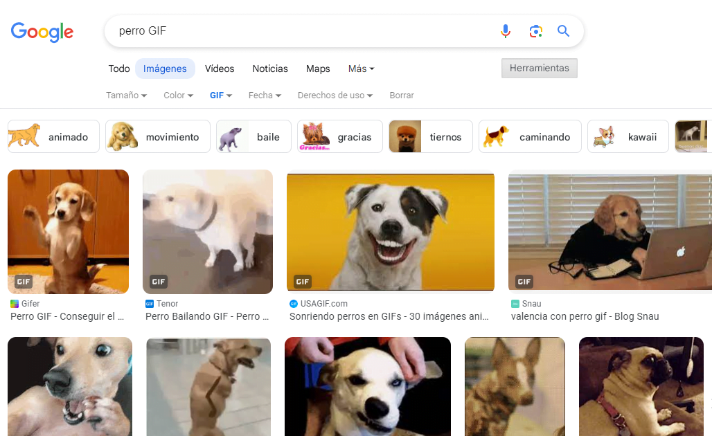 Todos los pasos para buscar imágenes GIF en Google