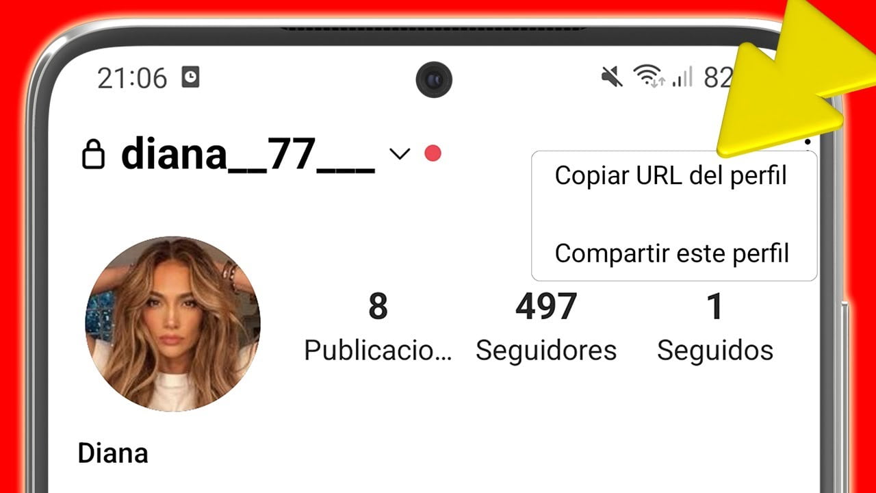 ¿Cómo conseguir la url del perfil de un amigo en Instagram?